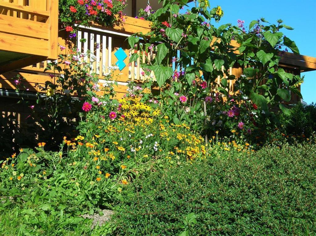 Ferienwohnung Dreer Hofen Ngoại thất bức ảnh